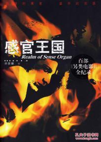 电影感官王国在线观看,一场视觉与听觉的感官盛宴