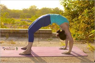 功夫瑜伽在线观看免费,免费在线观看，畅享东方传奇魅力  第1张