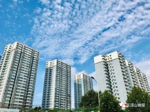 广东微城最新爆料,揭秘神秘项目背后的惊人真相！