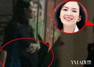 章子怡爆料怀孕了吗视频 第3张 章子怡爆料怀孕了吗视频 第3张